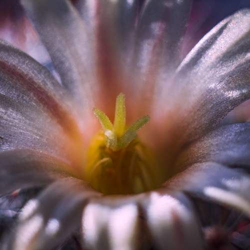 Photo #10882107