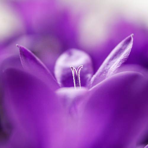 Photo #10882201
