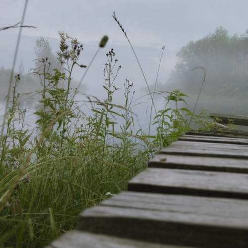 Photo #10882344