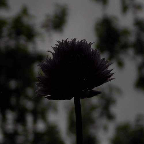Photo #10882455