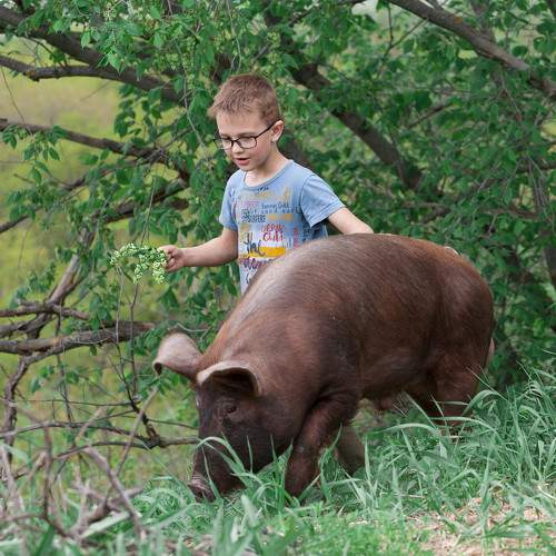 Photo #10882513