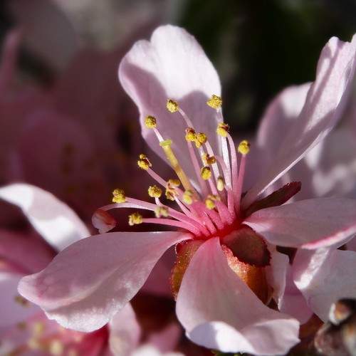 Photo #10882526
