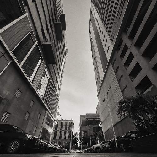 Photo #10882631