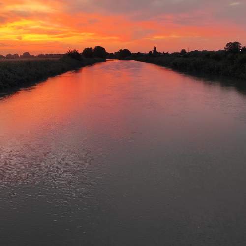 Photo #10882634