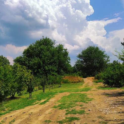 Photo #10882635