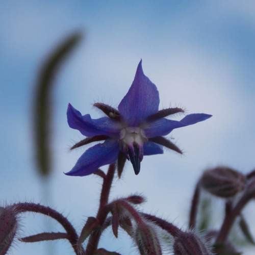 Photo #10882701