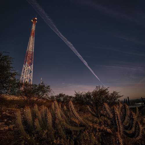 Photo #10882918