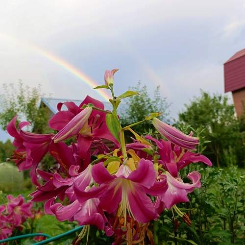Photo #10883013