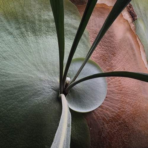 Photo #10883103