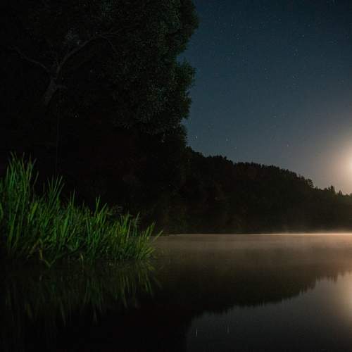 Фотография #10883255