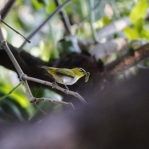 Photo #10883343