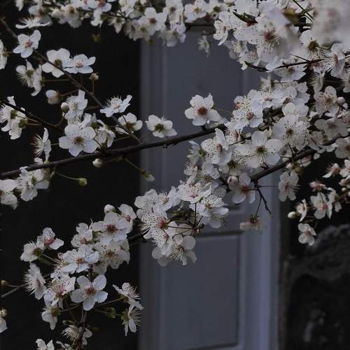 Photo #10883408