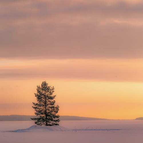 Photo #10883585