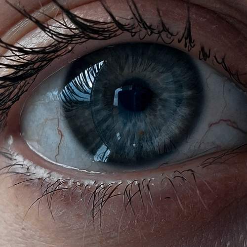 Photo #10884004