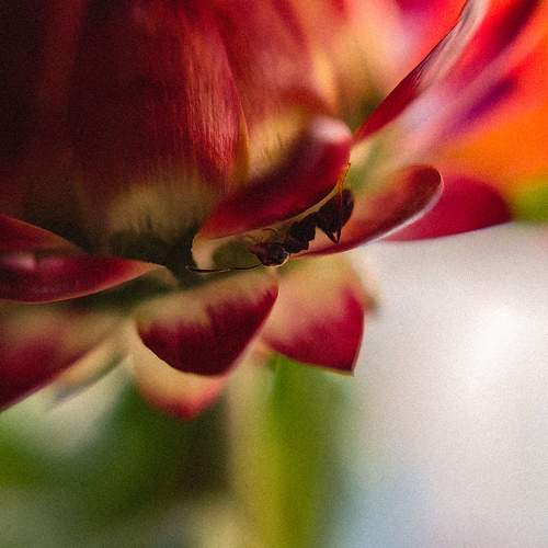 Photo #10884466