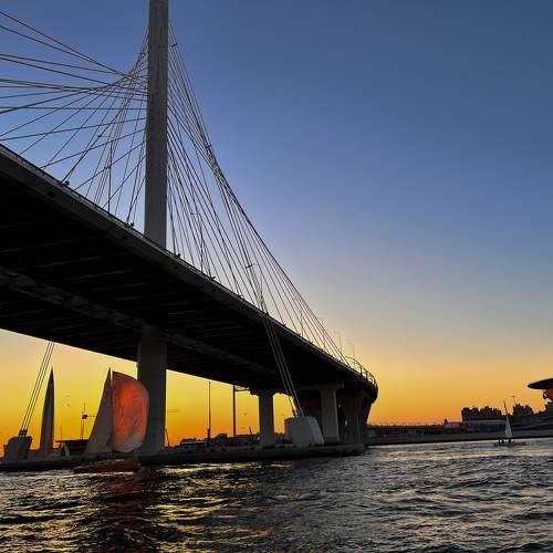 Photo #10884842