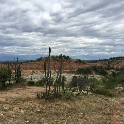 Photo #10885587