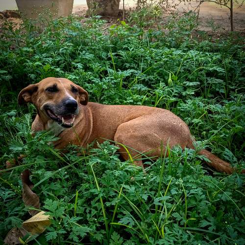 Photo #10885801