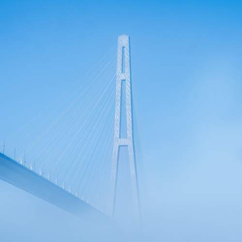 Photo #10885866