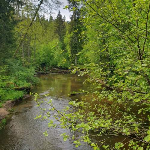 Photo #10885903