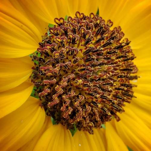 Photo #10886087
