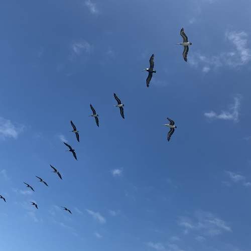Photo #10886182