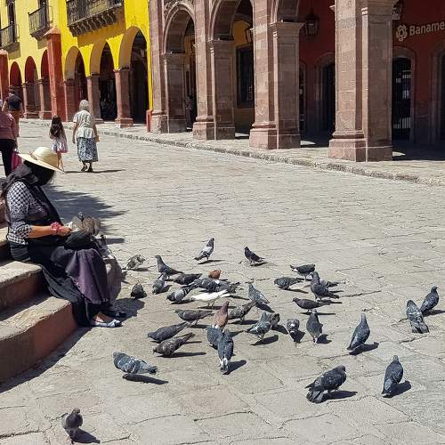 WOMAN FEEDING THE PIGEONS
