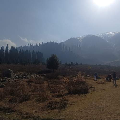 Photo #10886569