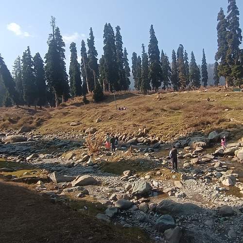 Photo #10886579