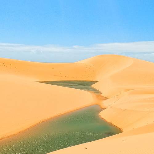 Photo #10886620