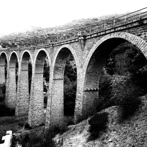 Photo #10886628