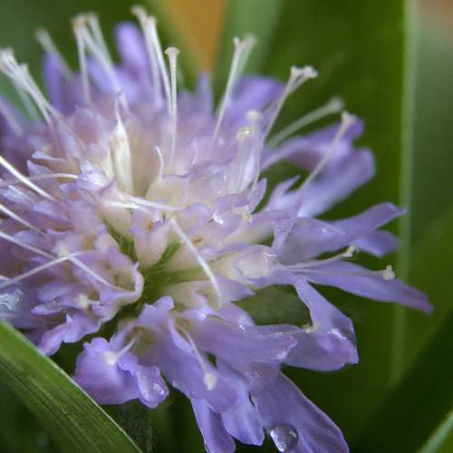 Photo #10886739