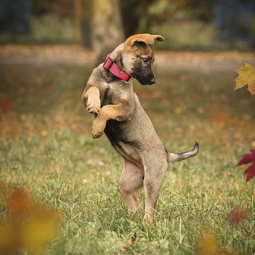 Photo #10887415