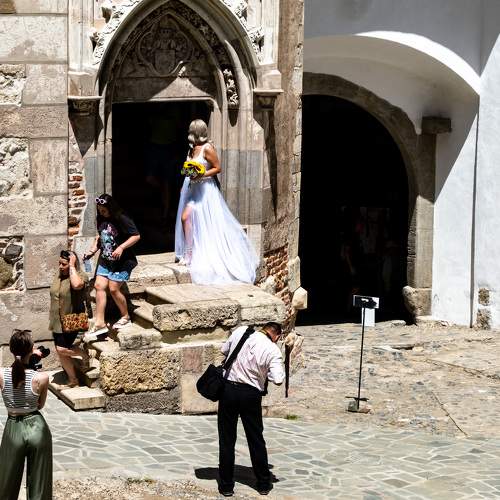 Photo #10888206
