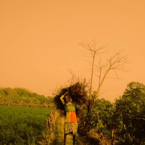 Photo #10888648