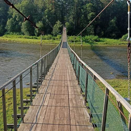 Photo #10889179