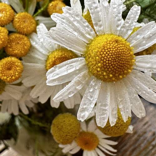 Photo #10889313