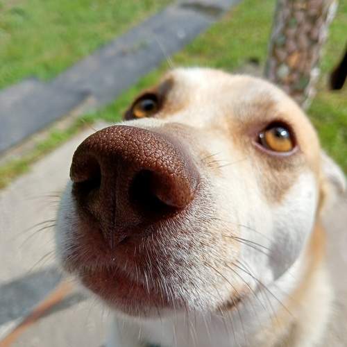 Photo #10889560
