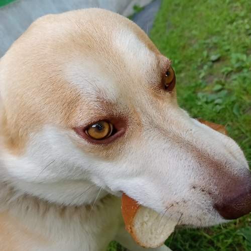 Photo #10889563