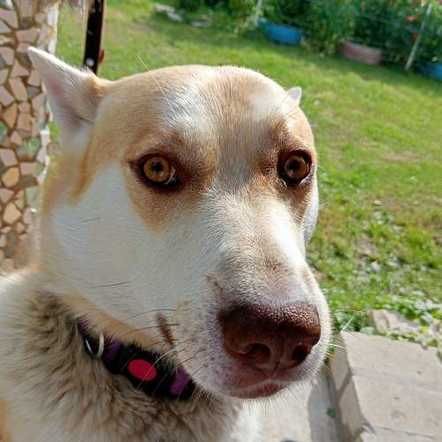 Photo #10889564