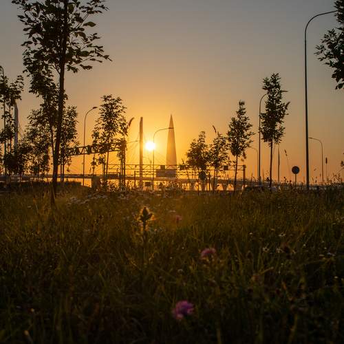 Photo #10889841