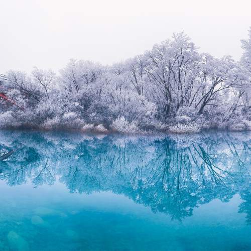 Photo #10889996