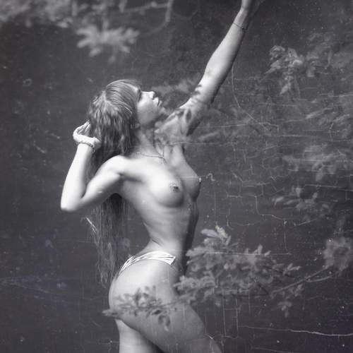 Photo #10890008