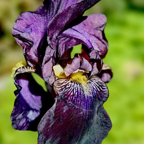 Photo #10890504