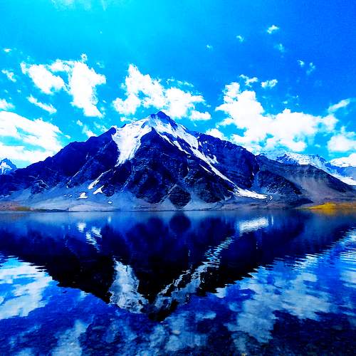 Photo #10890725