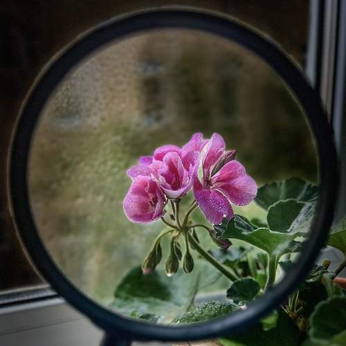 Photo #10890771