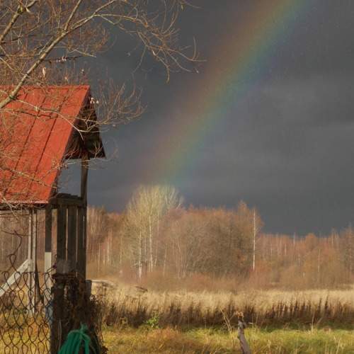 Photo #10890955