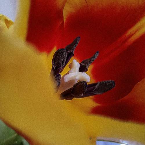 Photo #10891020