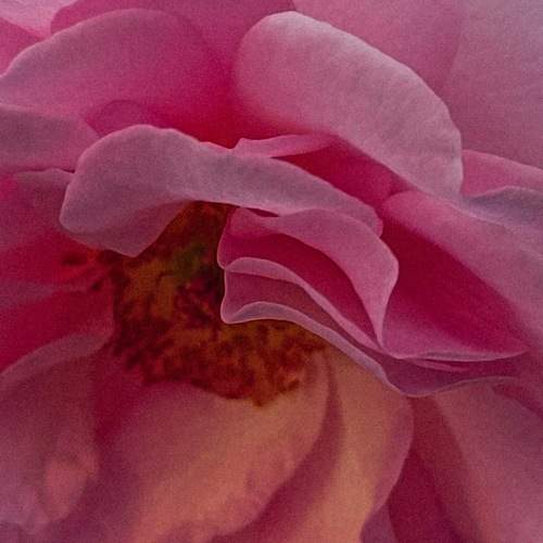 Photo #10891197
