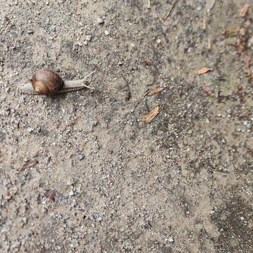 Photo #10891373